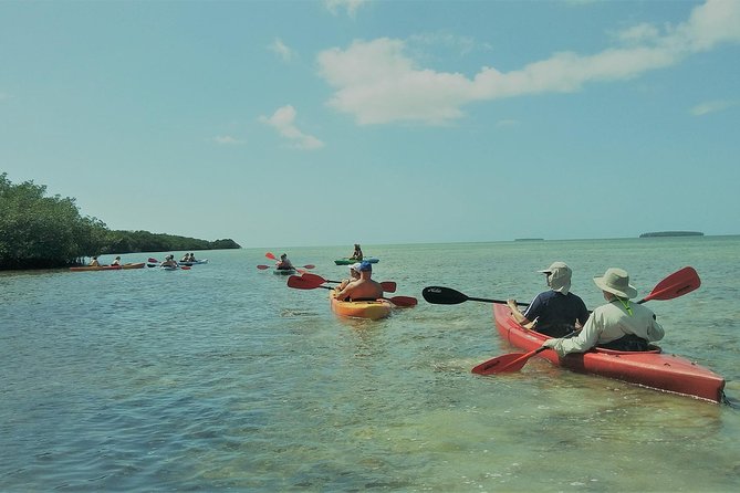 Half-Day Trip from Key West with Kayaking, Snorkeling & Sunset - Kayaking through the mangrove backcountry