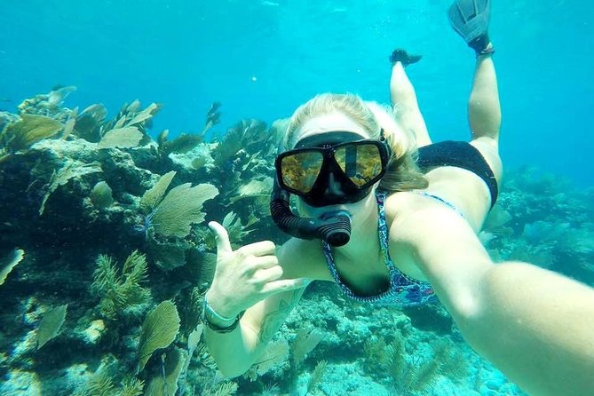 Half-Day Trip from Key West with Kayaking, Snorkeling & Sunset - Snacks, drinks, and the rhythm of the trip