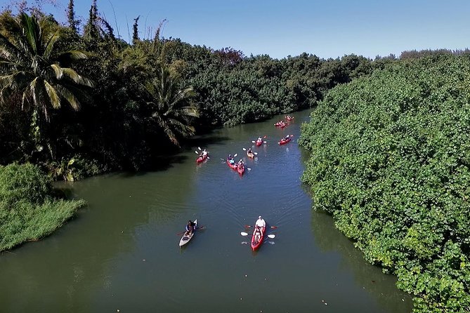 Hanalei Bay Morning Kayak and Snorkel Tour - Why the river start makes this more than a standard snorkel trip