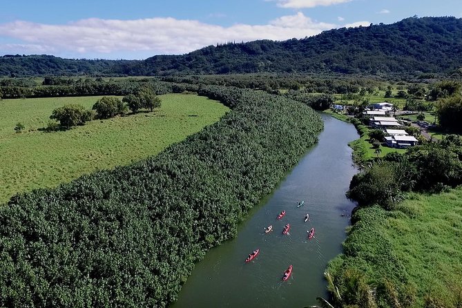 Hanalei Bay Morning Kayak and Snorkel Tour - Forty-five minutes of reef snorkeling