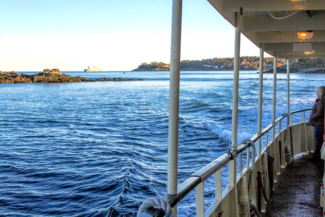 Harbor Lights and Sights Cruise - Key details before you book