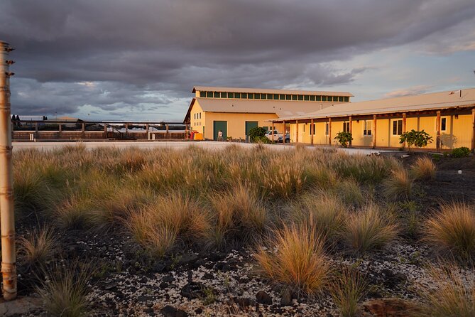 Hawaiian Salt Farm Tour in Kona - Hawaiian history, language, and the story of Keahole Point