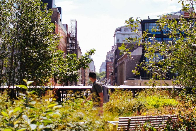 High Line and Chelsea Small Group Tour - Key points at a glance