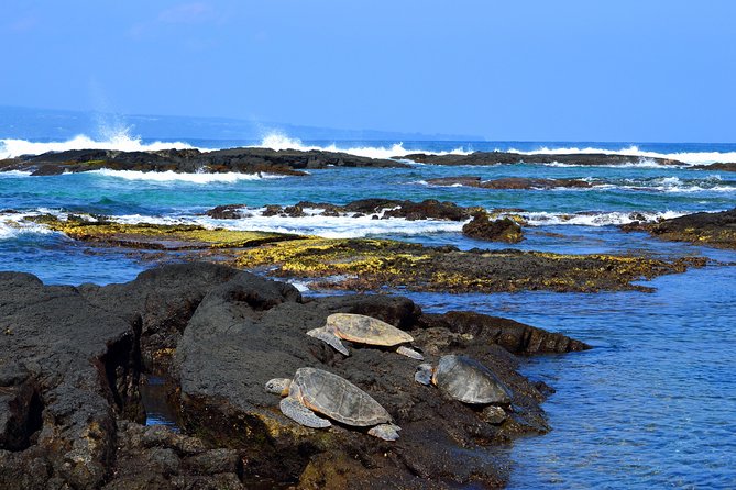 Hilo Shore Excursion: Volcanoes National Park & Black Sand Beach - Why this Hilo shore excursion works well
