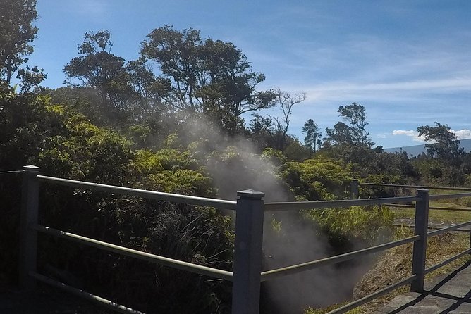 Hilo Shore Excursion: Volcanoes National Park & Black Sand Beach - Starting in Hilo and heading toward the volcano