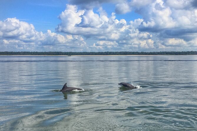 Hilton Head Island Dolphin Boat Cruise - Key points before you book