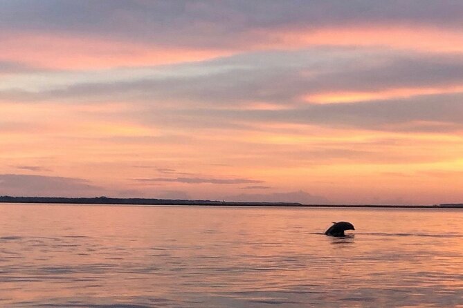 Hilton Head Island Dolphin Boat Cruise - The captain and guide shape the experience