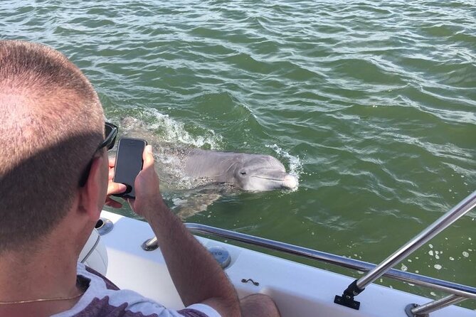 Hilton Head Island Dolphin Boat Cruise - A family outing that does not drag on