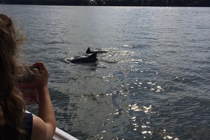 Hilton Head Island Dolphin Boat Cruise - How the $39.99 price holds up