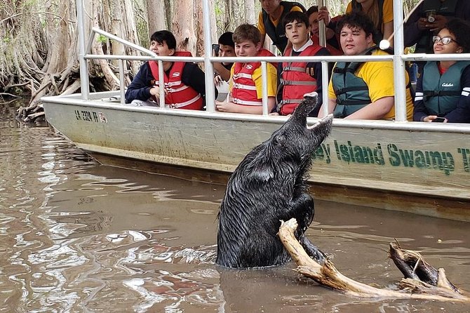 Honey Island Swamp Boat Tour - Finding Alligators, Snakes, Birds, and Otters