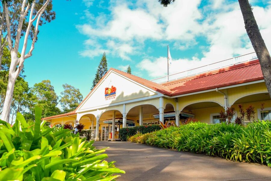 Honolulu: Oahu Island Full-Day Guided Tour by Bus with Lunch - What you get at Dole Plantation