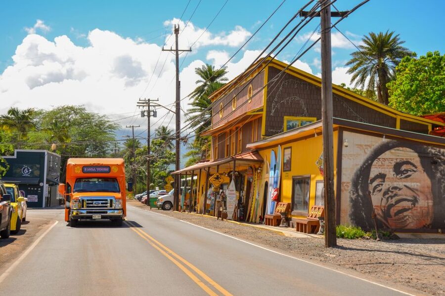 Honolulu: Oahu Island Full-Day Guided Tour by Bus with Lunch - The bus ride is part of the experience