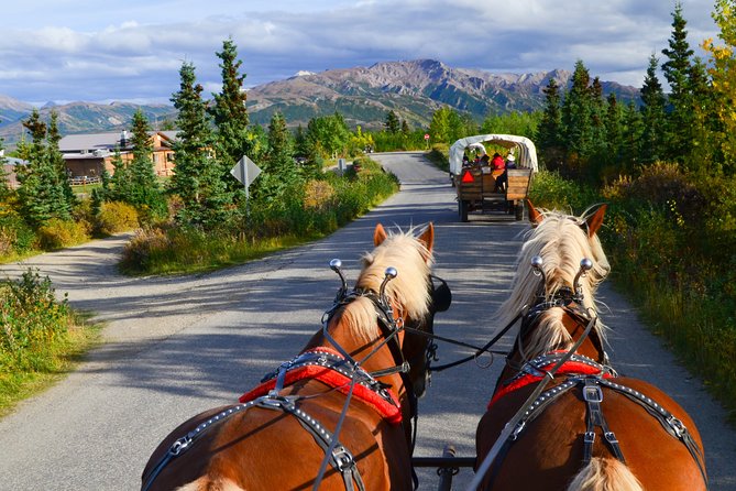 Horse-Drawn Covered Wagon Ride with Backcountry Dining - A slow ride into the backcountry