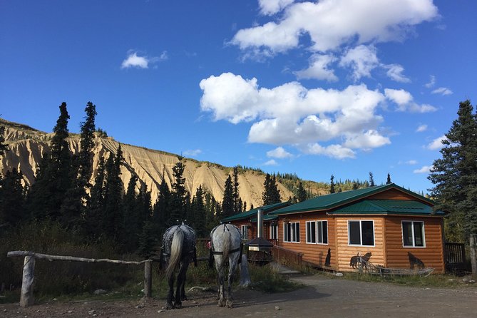 Horse-Drawn Covered Wagon Ride with Backcountry Dining - The backcountry meal, from barbecue to breakfast