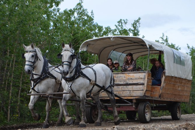 Horse-Drawn Covered Wagon Ride with Backcountry Dining - The return route and park boundary