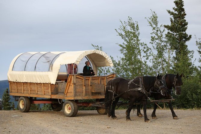 Horse-Drawn Covered Wagon Ride with Backcountry Dining - Price, timing, and who gets the most from it