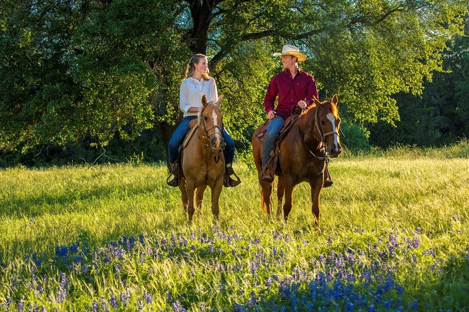 Horseback Riding on Scenic Texas Ranch near Waco - The first lesson: four commands that get you moving