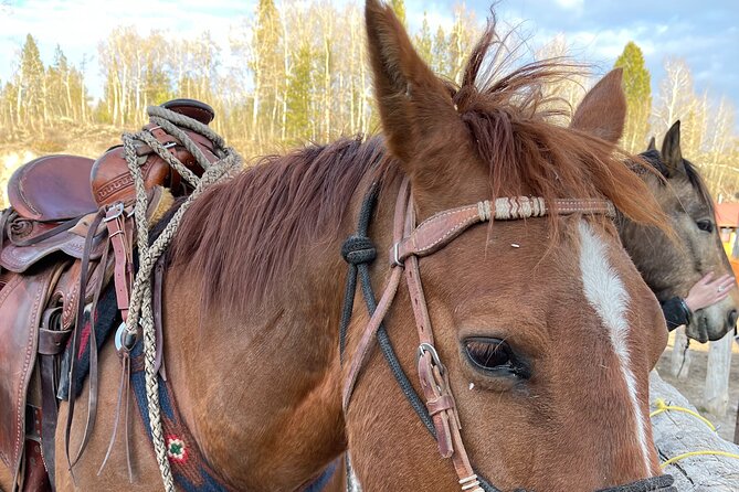 Horseback Riding with Grand Teton Views in Jackson Hole - Is $135 a fair price?
