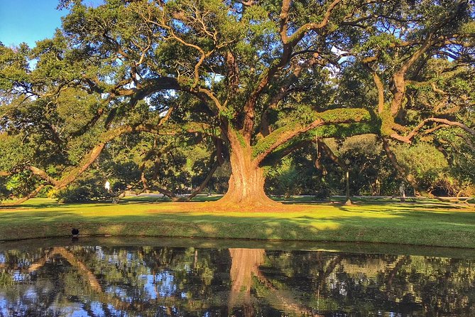 Houmas House Estate and Gardens Guided Tour - Why Houmas House makes a good New Orleans day trip