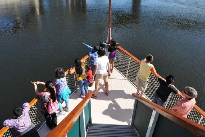 Hudson River Sightseeing Cruise from Albany - Wildlife along the river