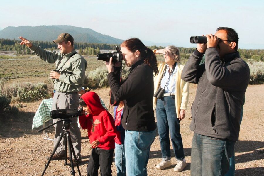 Jackson: Grand Teton National Park Guided Wildlife Tour - My call on the Grand Teton wildlife tour