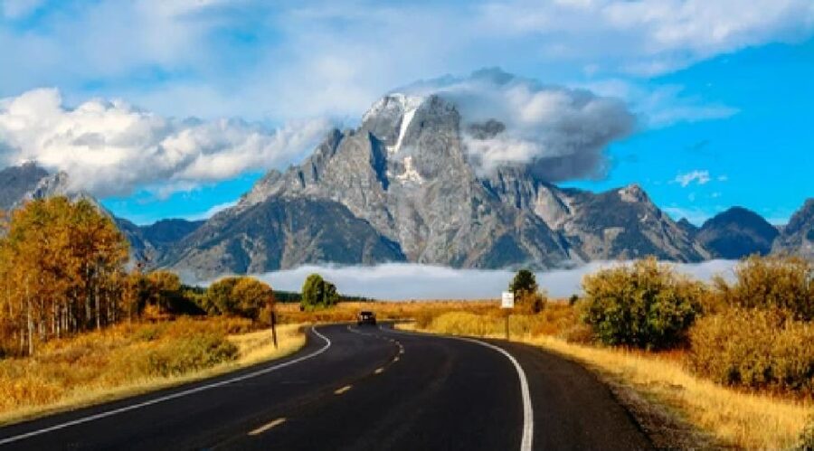 Jackson: Grand Teton National Park Guided Wildlife Tour - The animals you may actually see
