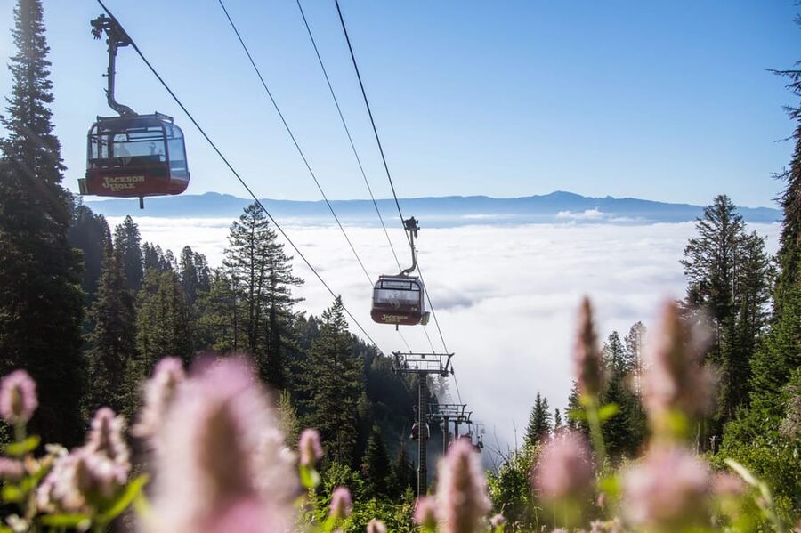 Jackson Hole: Aerial Tram and Gondolas Sightseeing - Weather, crowds, and comfort