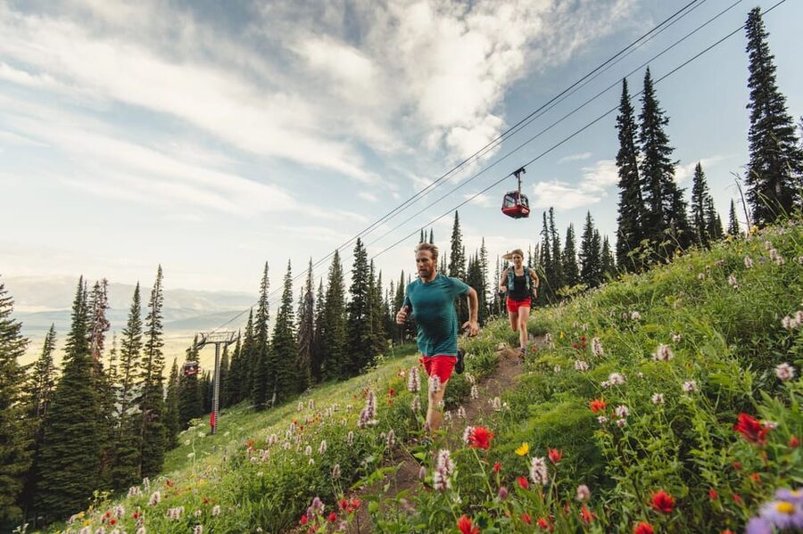 Jackson Hole: Aerial Tram and Gondolas Sightseeing - Is the $55 price good value?
