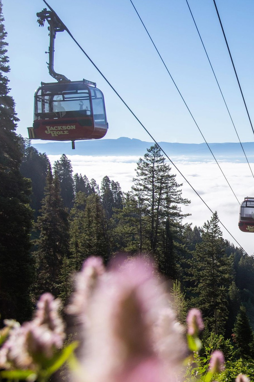 Jackson Hole: Aerial Tram and Gondolas Sightseeing - Teton Village is the practical starting point