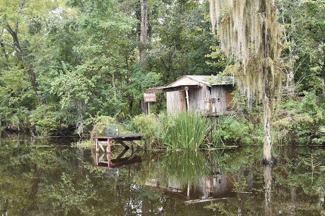Jean Lafitte 90-Minute Swamp and Bayou Boat Tour - Wildlife ethics and what to watch for