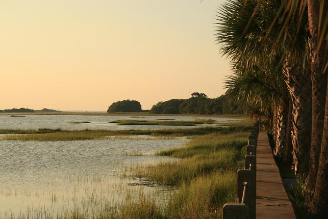 Jekyll Island Dolphin Tours - Seating, shade, and what to bring