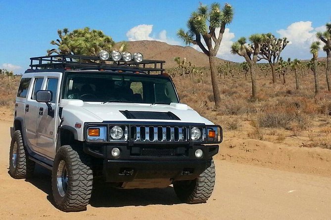 Joshua Tree National Park Scenic Tour - Why a guided half-day visit can make sense