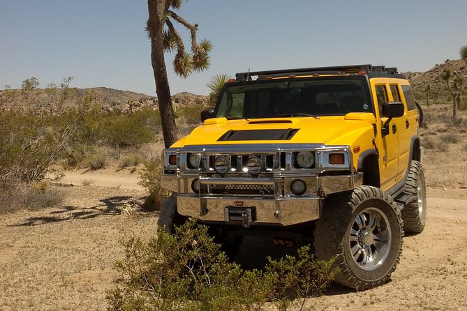 Joshua Tree National Park Scenic Tour - Barker Dam: water, petroglyphs, and cowboy history