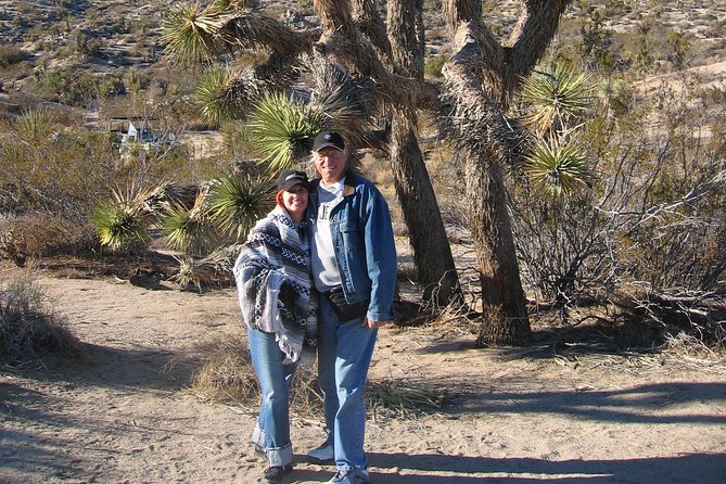 Joshua Tree National Park Scenic Tour - How much walking should you expect?