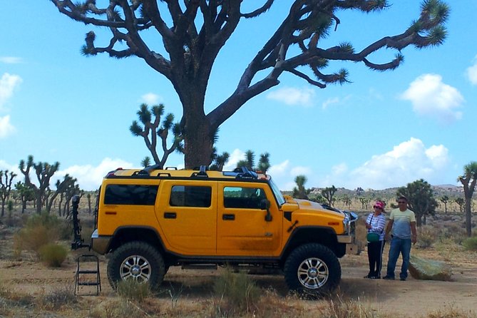 Joshua Tree National Park Scenic Tour - Cap Rock: granite shaped by forces underground