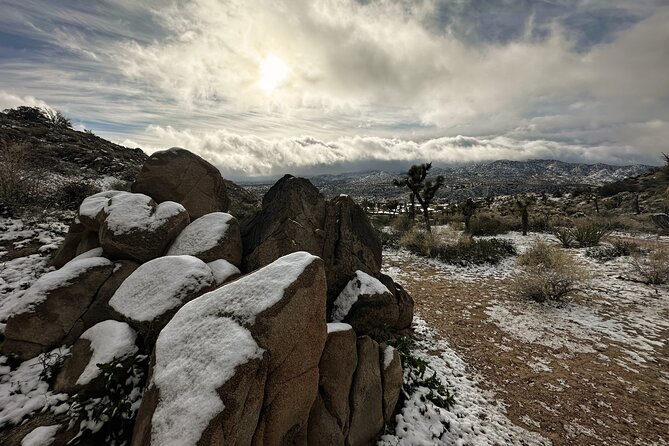 Joshua Tree National Park Self-Guided Driving Audio Tour - What this Joshua Tree audio tour is really like
