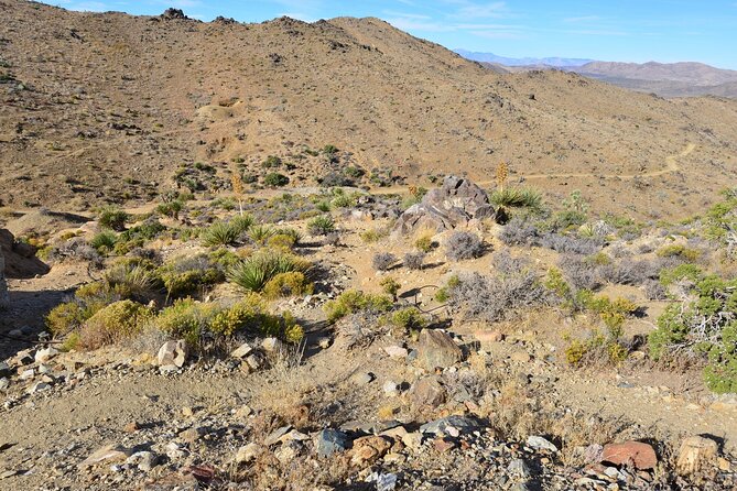 Joshua Tree National Park Self-Guided Driving Audio Tour - Samuelsons Rock, Willow Hole, and Hemingway Buttress
