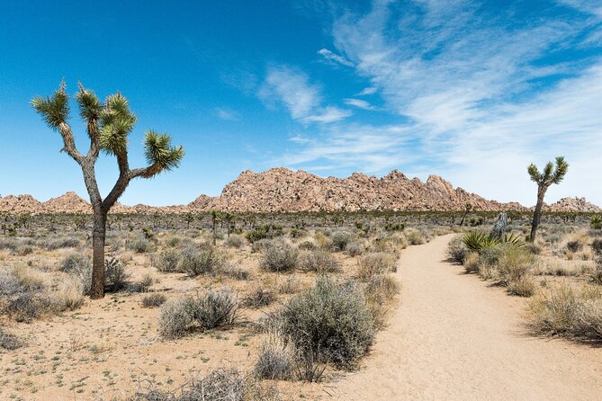 Joshua Tree National Park Self-Guided Driving Audio Tour - Hidden Valley, the best short walk on the route