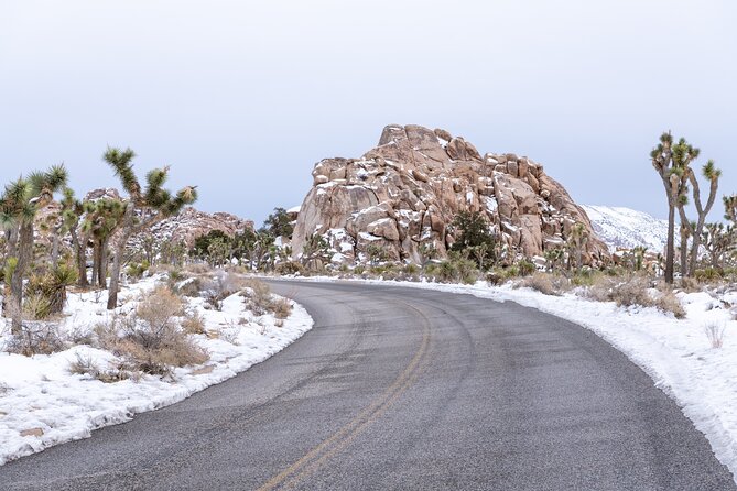 Joshua Tree National Park Self-Guided Driving Audio Tour - Lost Horse Valley and the old mines