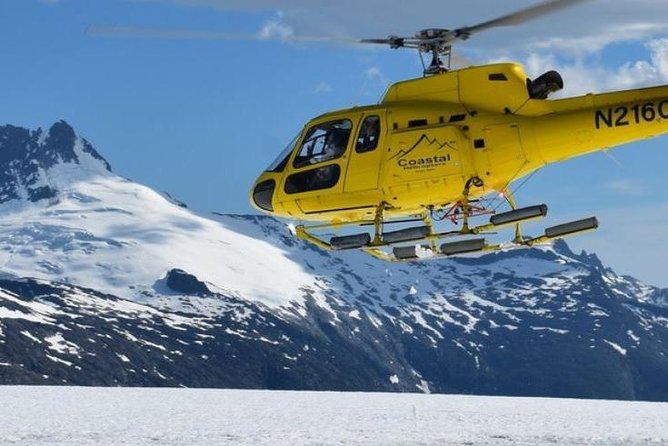 Juneau Shore Excursion: Helicopter Tour and Guided Icefield Walk - Twenty-two minutes on Herbert Glacier