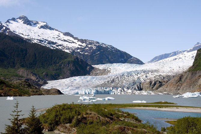 Juneau Wildlife Whale Watching & Mendenhall Glacier - Mendenhall Glacier in a short 45-minute stop