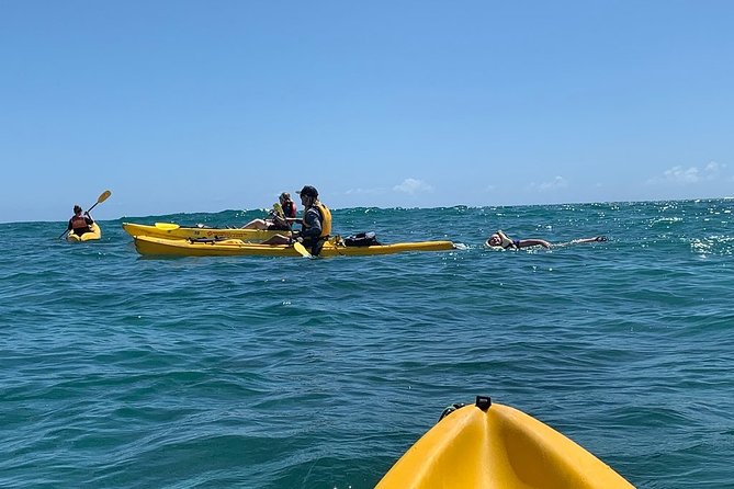 Kailua 2-Hour Guided Kayaking Excursion, Oahu - The guides are a major part of the experience