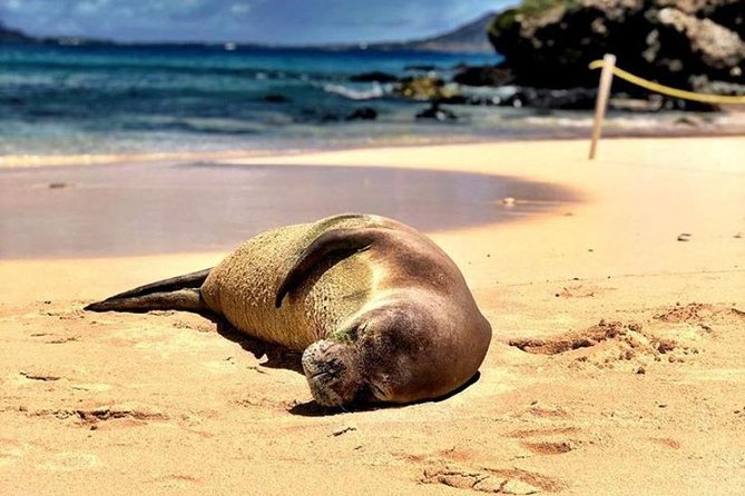 Kailua Bay, Oahu: Epic Kayak and Snorkel to Islands - Starting in Kailua with a proper safety briefing