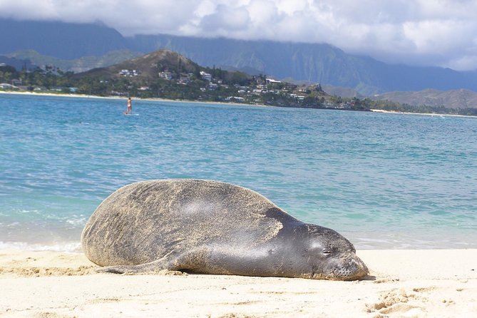 Kailua Bay, Oahu: Epic Kayak and Snorkel to Islands - The Mokulua Islands and Moku Nui