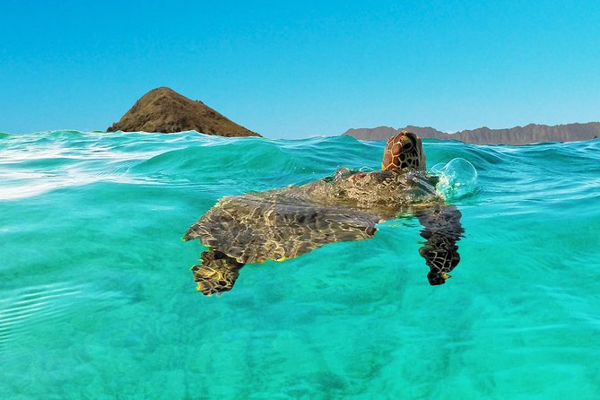 Kailua Bay, Oahu: Epic Kayak and Snorkel to Islands - Lunch on the beach and the value of the package