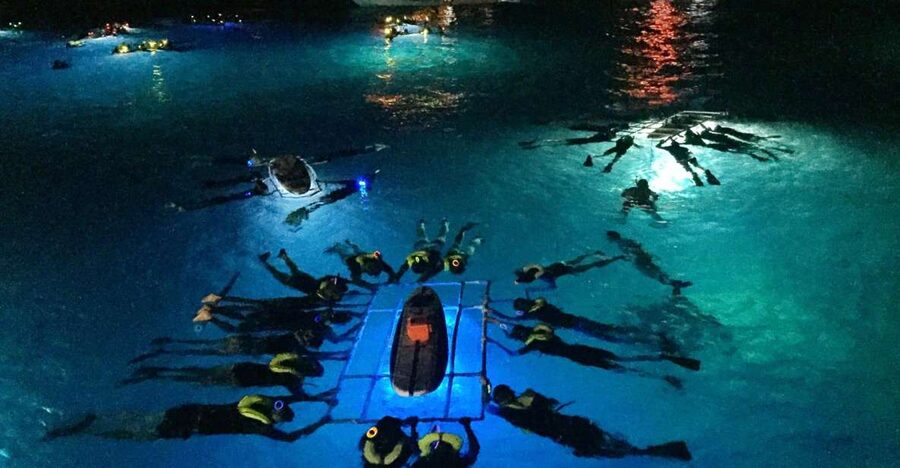 Kailua Kona: Night Manta Ray Adventure on the Big Island - Why Kona’s night manta setting feels so unusual