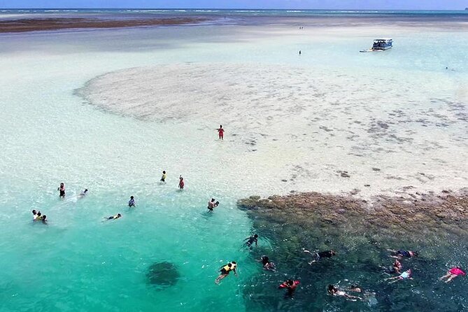 Kaneohe Sandbar Snorkeling Tour - 2nd Tour - Snorkeling With Fish and Sea Turtles