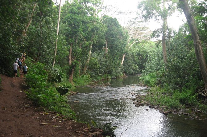 Kauai Adventure: Kayak & Hike to Secret Falls with Expert Guide - Why the Wailua River makes this more than a waterfall stop