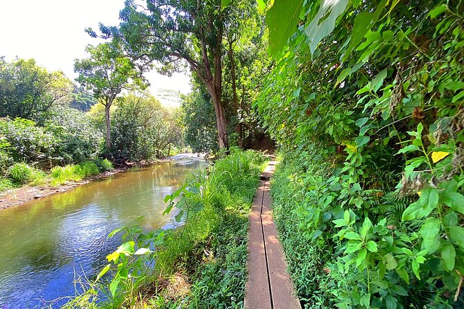 Kauai Adventure: Kayak & Hike to Secret Falls with Expert Guide - The guides shape the day