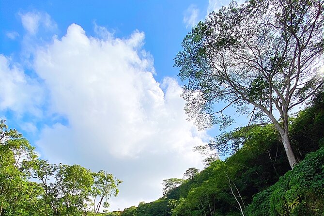 Kauai Adventure: Kayak & Hike to Secret Falls with Expert Guide - What the $140 price gets you
